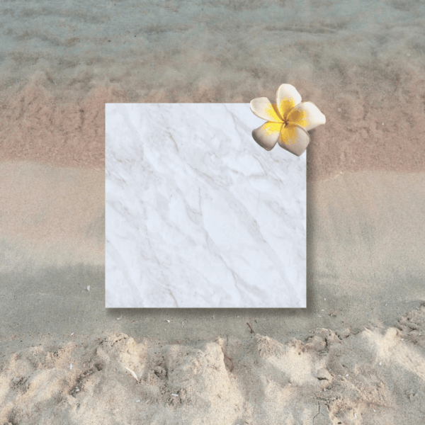 Carrara Marble Stone Sample